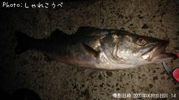 �����Х�