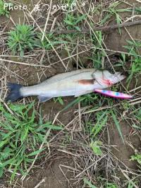 �����Х�