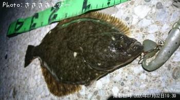 ���쥤���勵�ꥬ��