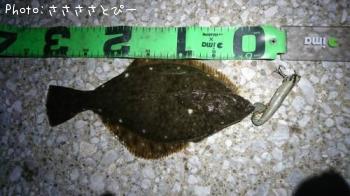 ���쥤���勵�ꥬ��