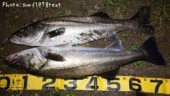 �����Х�