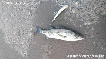 �����Х�