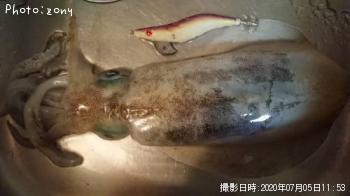 �����ꥤ��