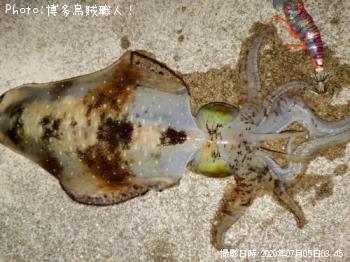 �����ꥤ��