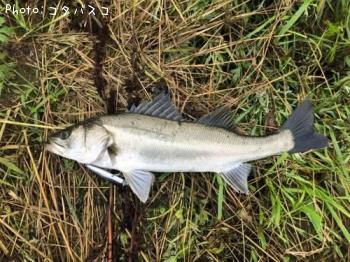 �����Х�