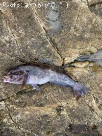 �����ʥ�