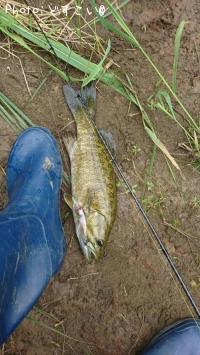 ���⡼��ޥ���