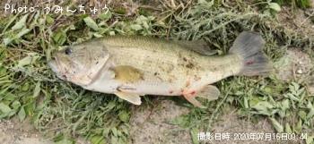 ¥Ö¥é¥Ã¥¯¥Ð¥¹