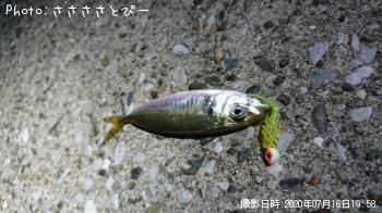 �������᥸��