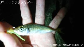 �������᥸��