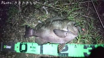 �������᥸��