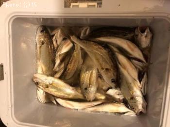 �������������