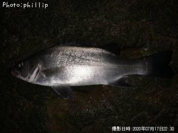 �ҥ饹����