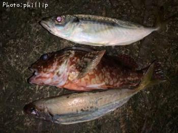 ������������