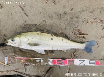 �����Х�