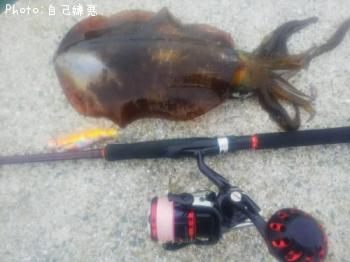 ¥¢¥ª¥ê¥¤¥«