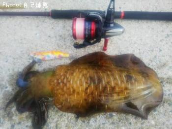 �����ꥤ��