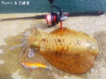 �����ꥤ��