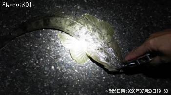�ޥ���