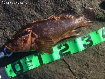 �����Υ���Х�