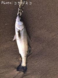 �����Х�