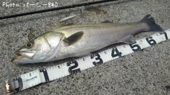 �����Х�