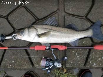 �����Х�