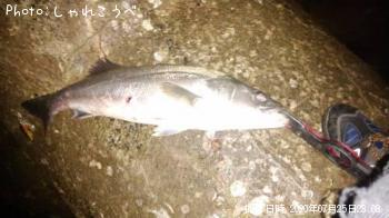 �����Х�