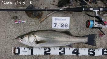 �����Х�