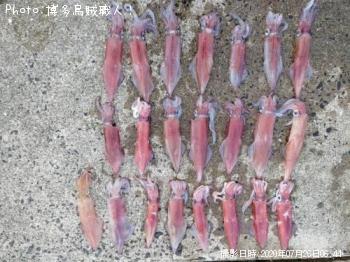 ���󥵥�����