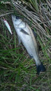 �����Х�