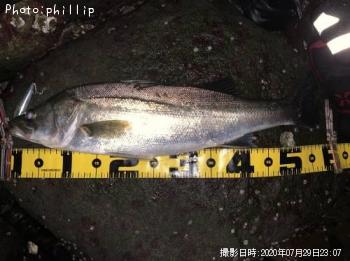 �����Х�