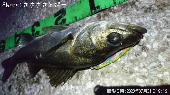 �����Х�