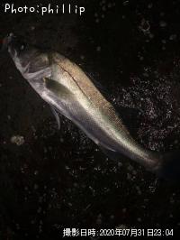 �����Х�