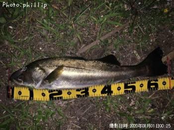 �����Х�