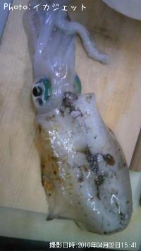 ¥¢¥ª¥ê¥¤¥«