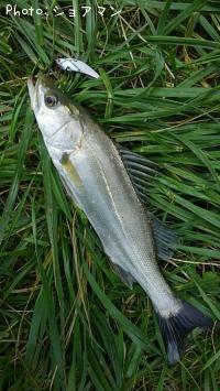 �����Х�