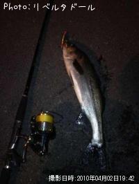 �����Х�