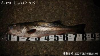 �����Х�