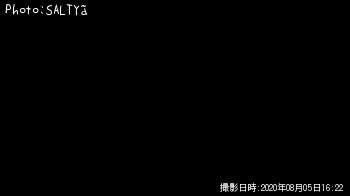 シーバス