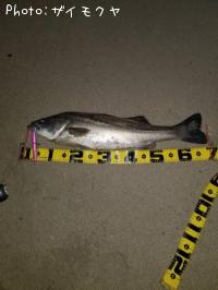 �����Х�