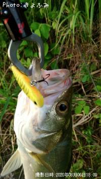 �����Х�