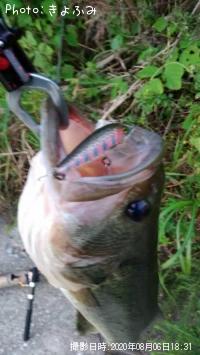 ¥Ö¥é¥Ã¥¯¥Ð¥¹