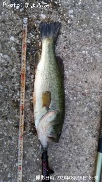 ¥Ö¥é¥Ã¥¯¥Ð¥¹