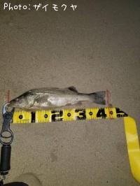 �����Х�