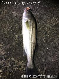 �����Х�