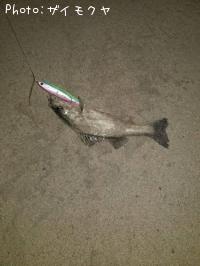 �����Х�