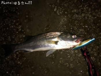 �����Х�