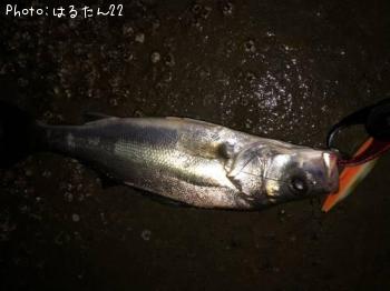 �����Х�