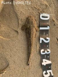 �ޥ���